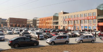 上海金山国际贸易城ⅱ期盛大试营业