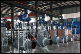 上海电建阀门厂