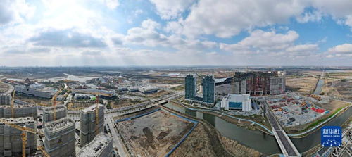 新春开新局 上海自贸区临港新片区贸易建设热潮涌动