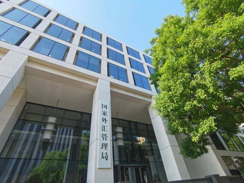 国家外汇局发布通知扩大跨境贸易投资高水平开放试点